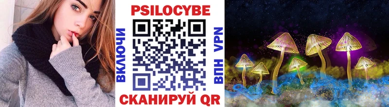 магазин продажи   Северодвинск  Галлюциногенные грибы Psilocybe 