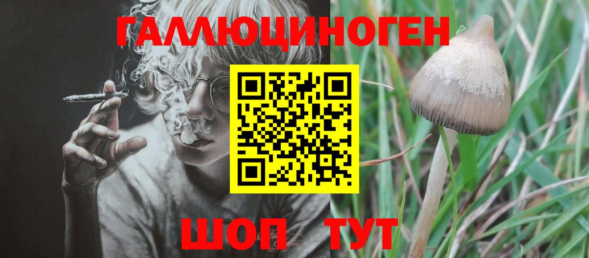 Псилоцибиновые грибы Psilocybe Северодвинск